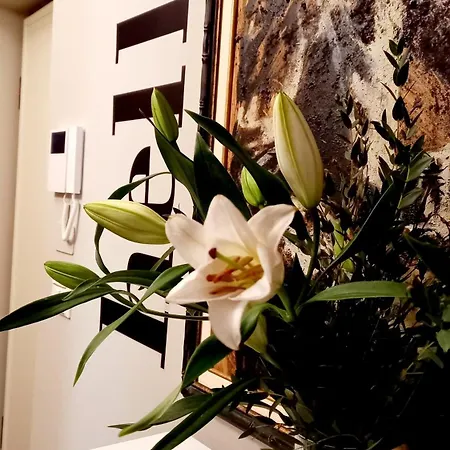 Sky Loft Nuovissimo Vicinanze Metro Daire Torino